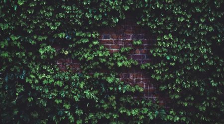 ivr产品如何推广