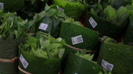 如何开办有机农庄