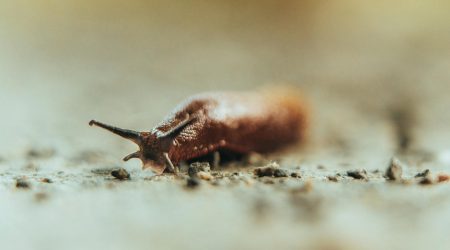 如何提高谷歌抓取