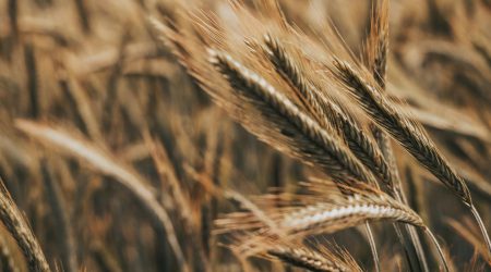 如何是颜色加深