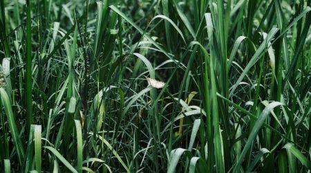 网站如何返回顶部