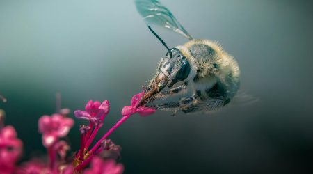 做网页如何满屏