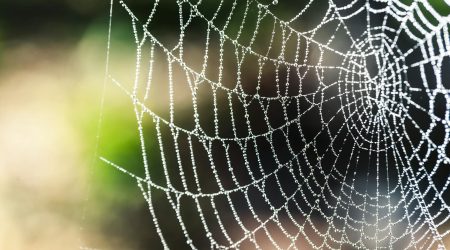 如何提高网站美感