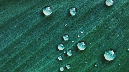 如何建立微网页