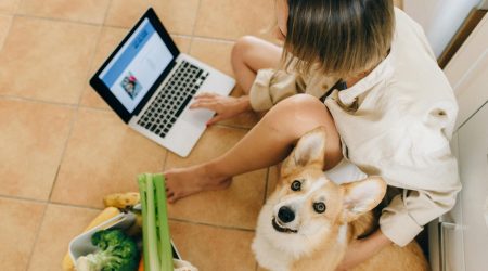 如何开饲料门市