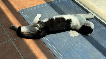 如何添加懒人插件