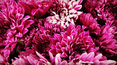 magento如何安装插件