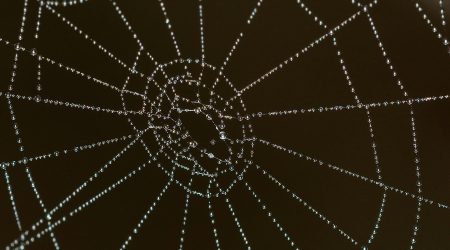 如何弄网页链接