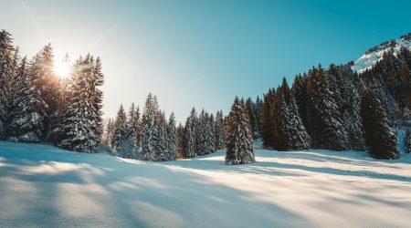 vps如何安装织梦