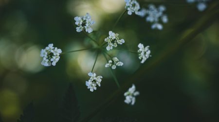 婚庆网站如何推广