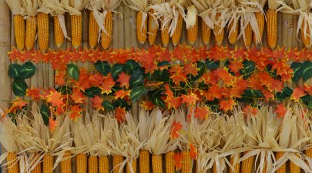 织梦怎么在空间安装