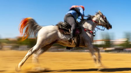 怎么优化网页加载速度