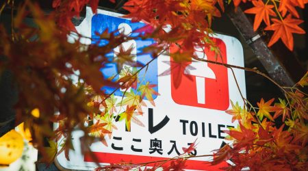 怎么查看域名注册信息