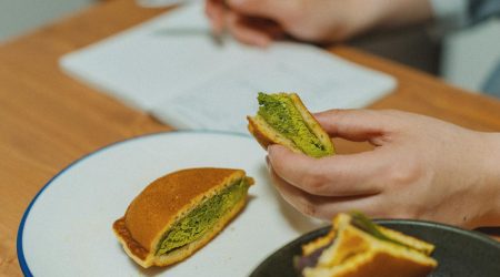 网站模板下载后怎么用