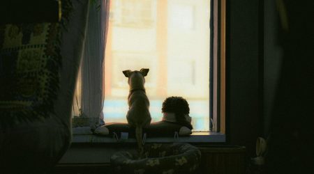 怎么查看网页建立时间