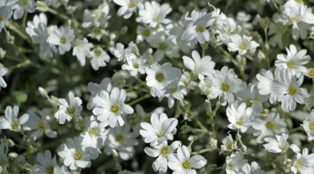 网页设计怎么做边框