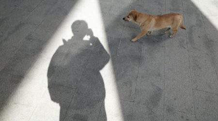 织梦怎么调用栏目图片