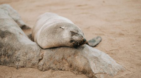 交叉链接怎么弄