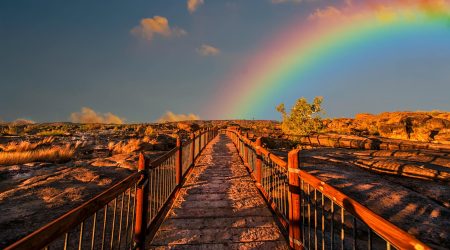 怎么用ai制作彩虹