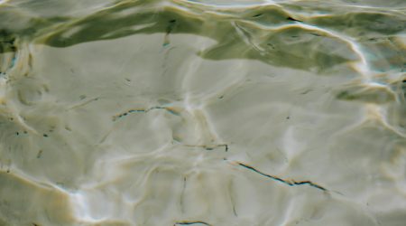 怎么把flash背景设为透明