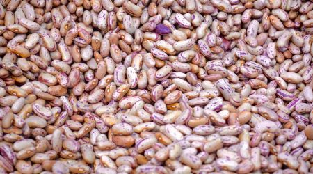 北京息壤怎么备案