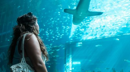 访客是怎么的来的