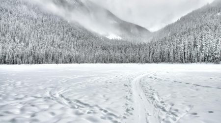 ps怎么做下雪场景