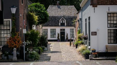 怎么查看网站ftp地址