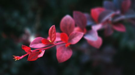 用ps怎么换背景图片