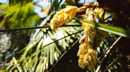 熊掌号怎么和公众号