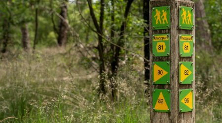 九个字母有多少种排序