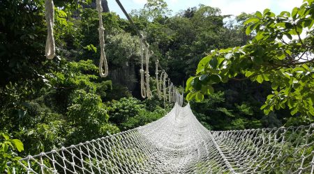 成安全网推广价格是多少