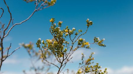 空间续费一年多少