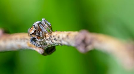 网页图像分辨率是多少