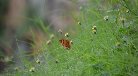 建个微官网多少费用