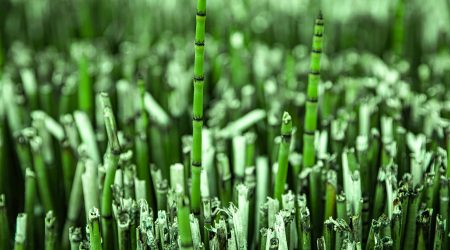 qq群续费多少钱