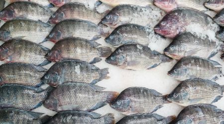 生鲜配送注册要多少钱