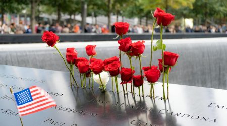 新顶域名有多少个