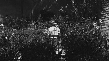 网站日常维护多少钱