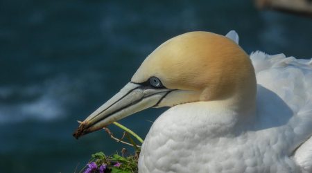 域名解析修改多久生效