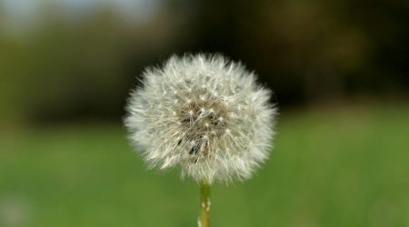 ftp密码多久更改