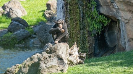 monkey测试一般测多久