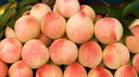 广西管局备案多久