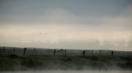 如何重启iis要多久