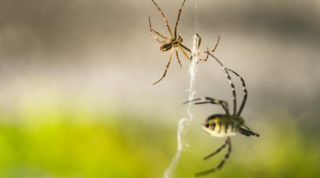 学制作网页要多久