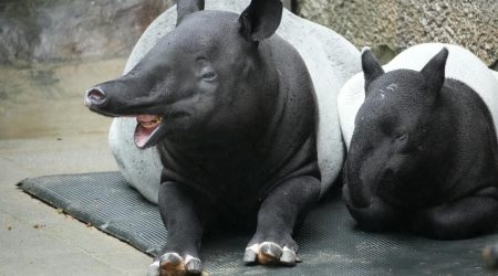 门票核销后多久到账