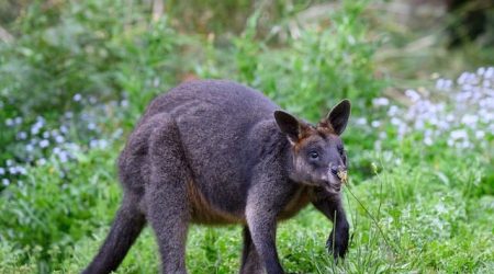 博客 收录 多久