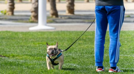 域名所有人修改多久