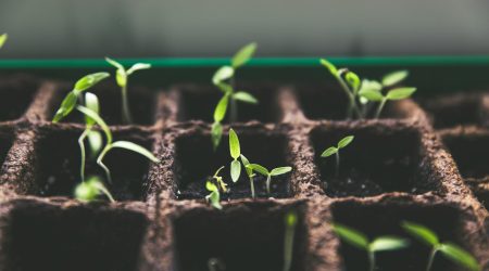万网解析多久生效