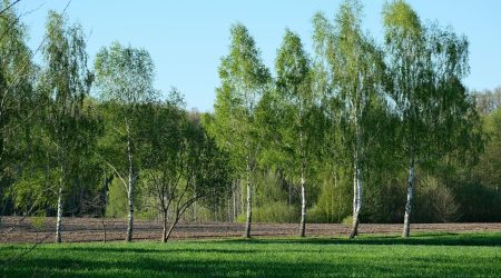 ac可以续费多久